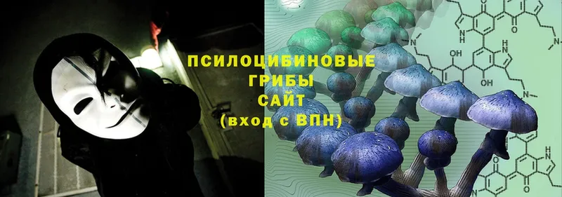 Галлюциногенные грибы Psilocybine cubensis  Бабушкин 